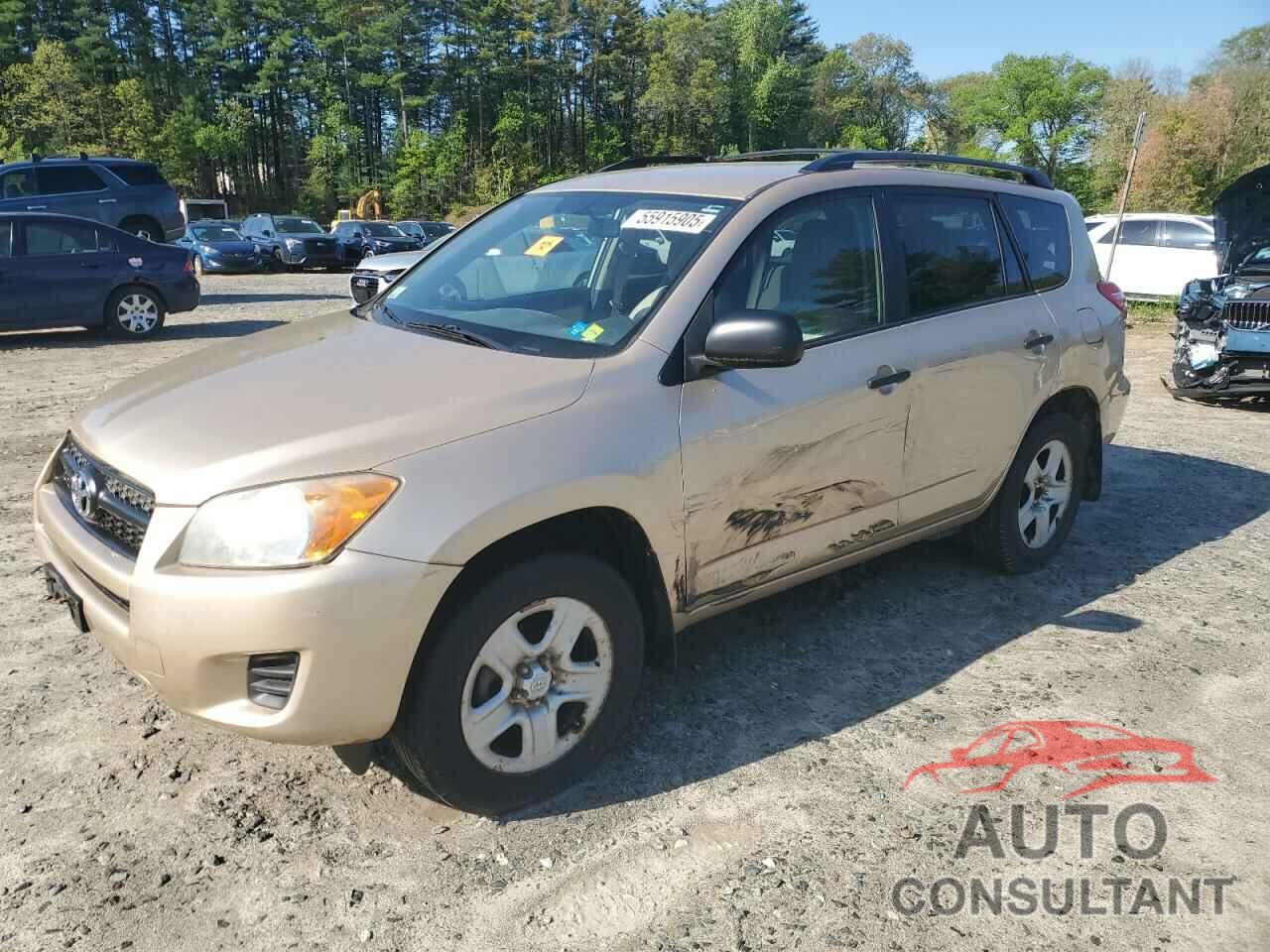 TOYOTA RAV4 2011 - 2T3BF4DV3BW172610