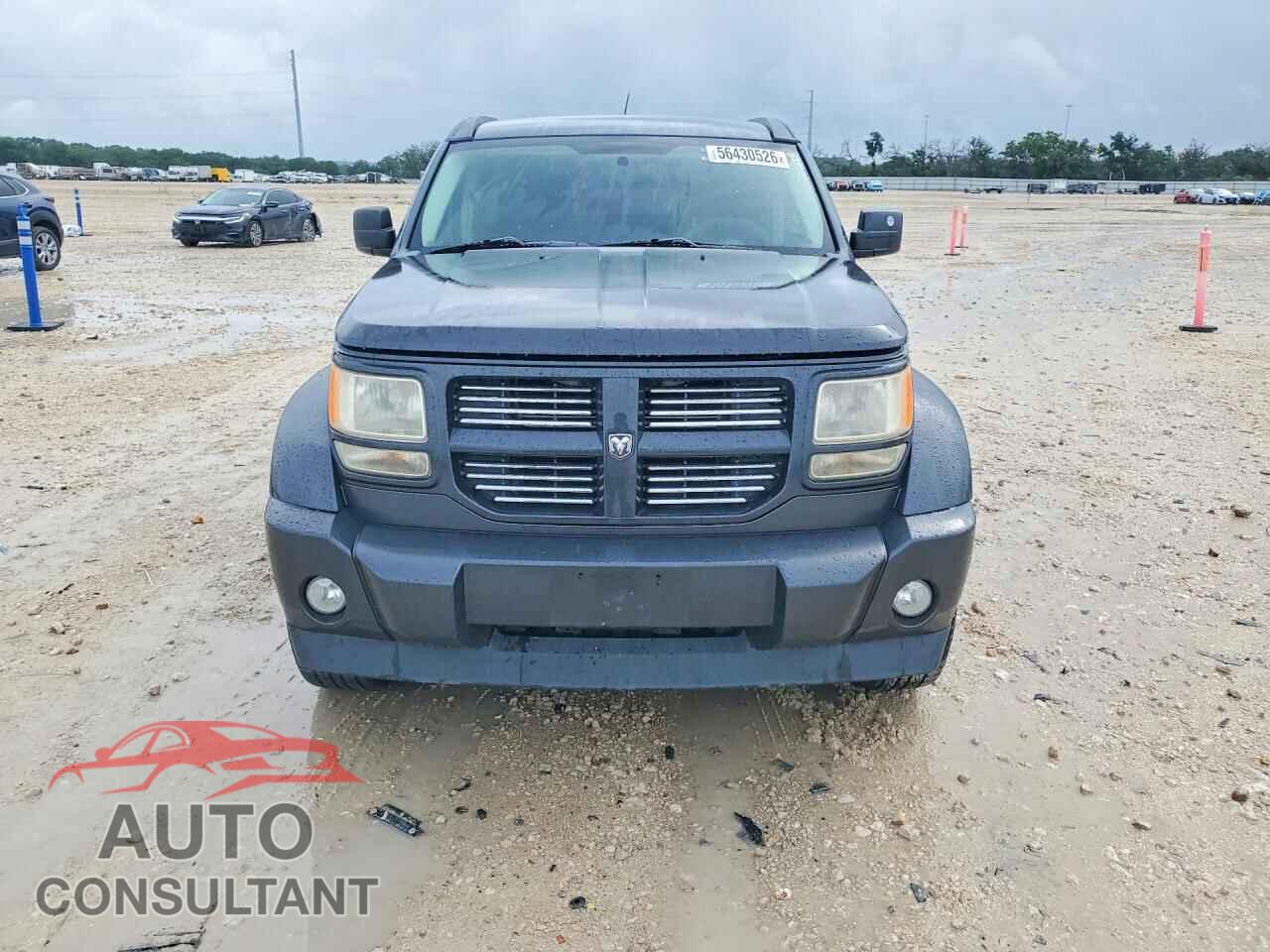 DODGE NITRO 2011 - 1D4PT4GK5BW528995