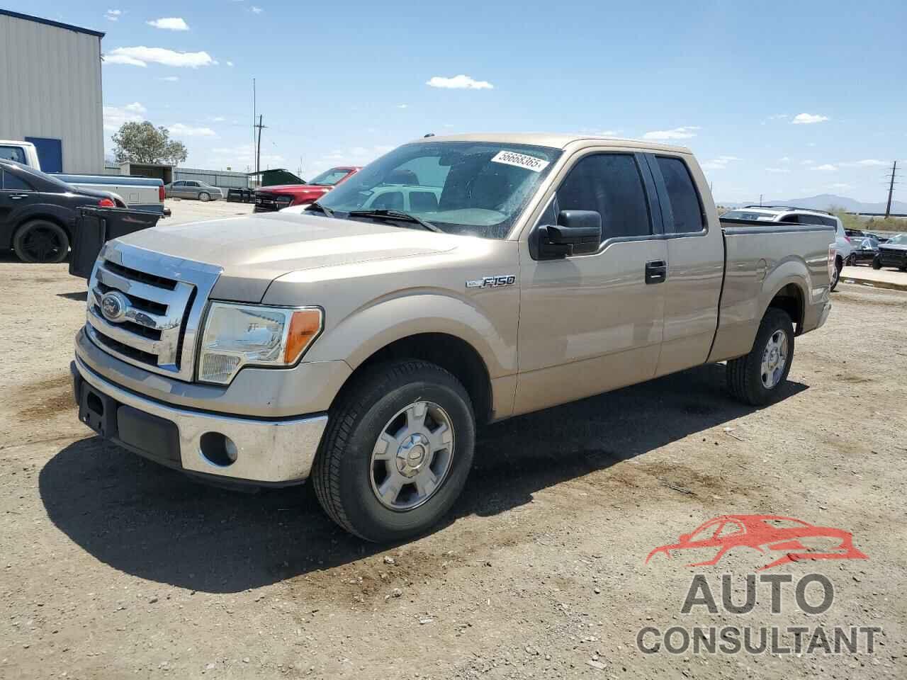 FORD F-150 2011 - 1FTEX1CMXBKE18319
