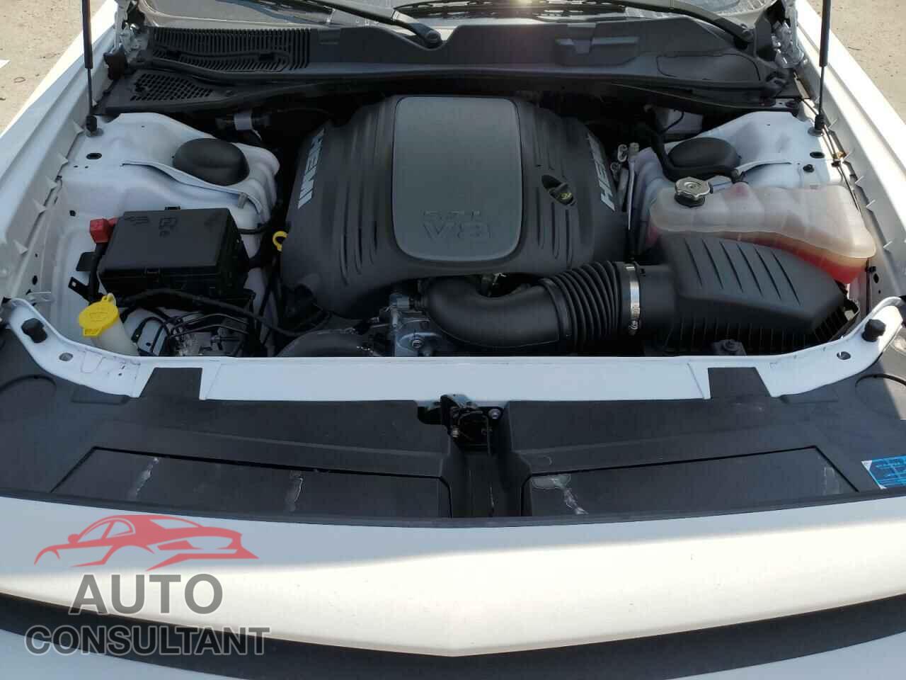 DODGE CHALLENGER 2023 - 2C3CDZBT3PH684694