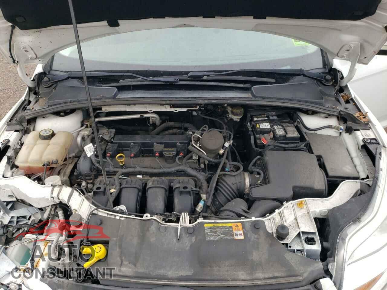 FORD FOCUS 2013 - 1FADP3F25DL204052