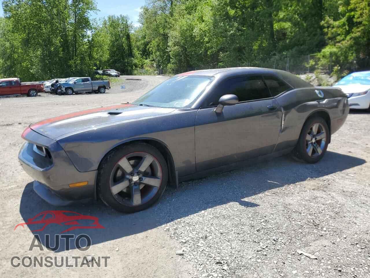 DODGE CHALLENGER 2014 - 2C3CDYAGXEH239154