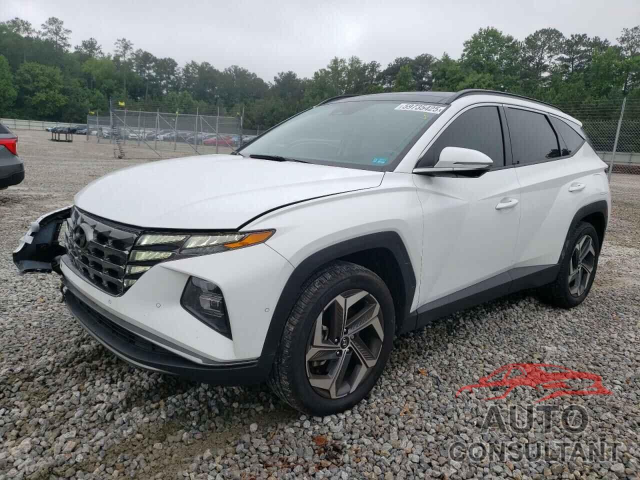HYUNDAI TUCSON 2024 - 5NMJECDE6RH399720