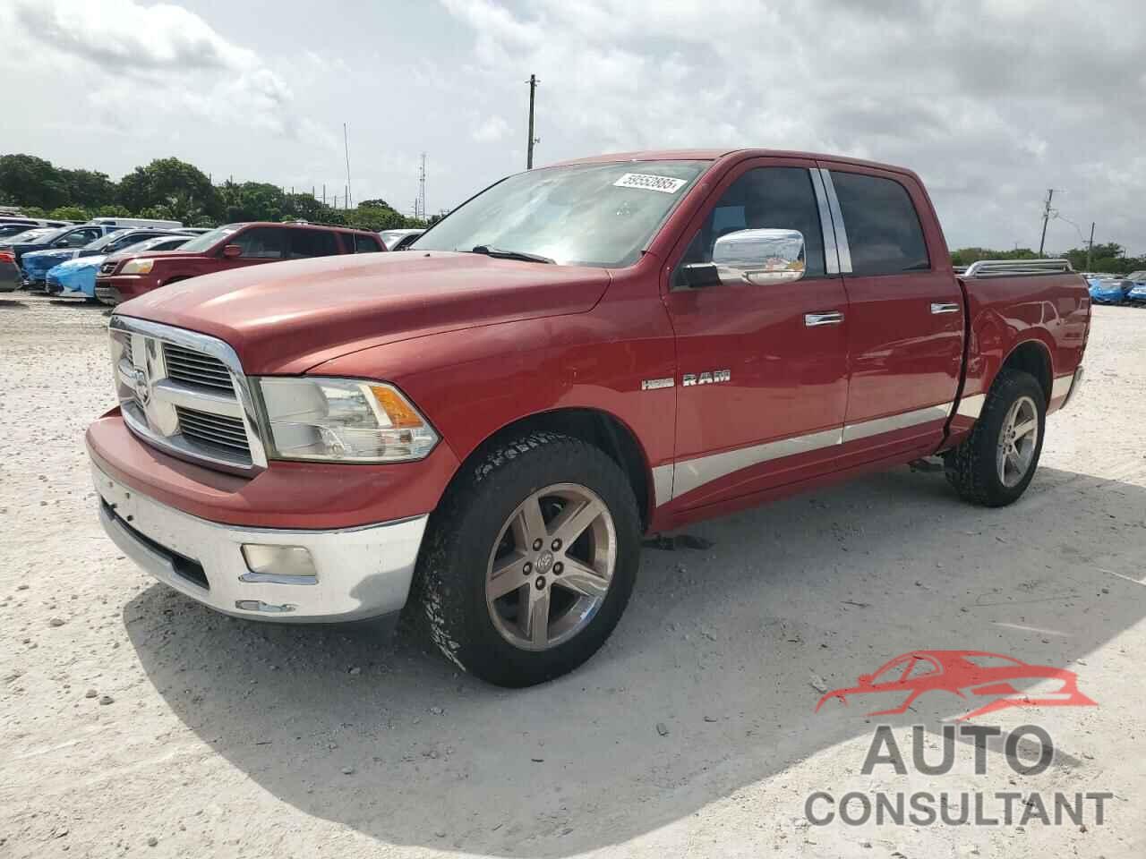 DODGE All Models 2010 - 1D7RB1CT0AS104643