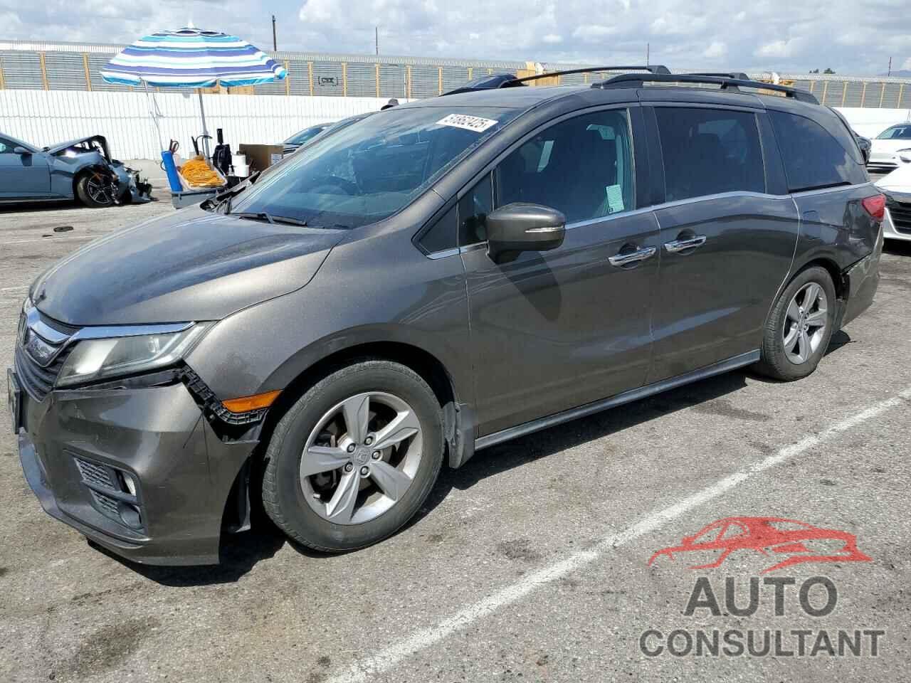 HONDA All Models 2019 - 5FNRL6H71KB066628