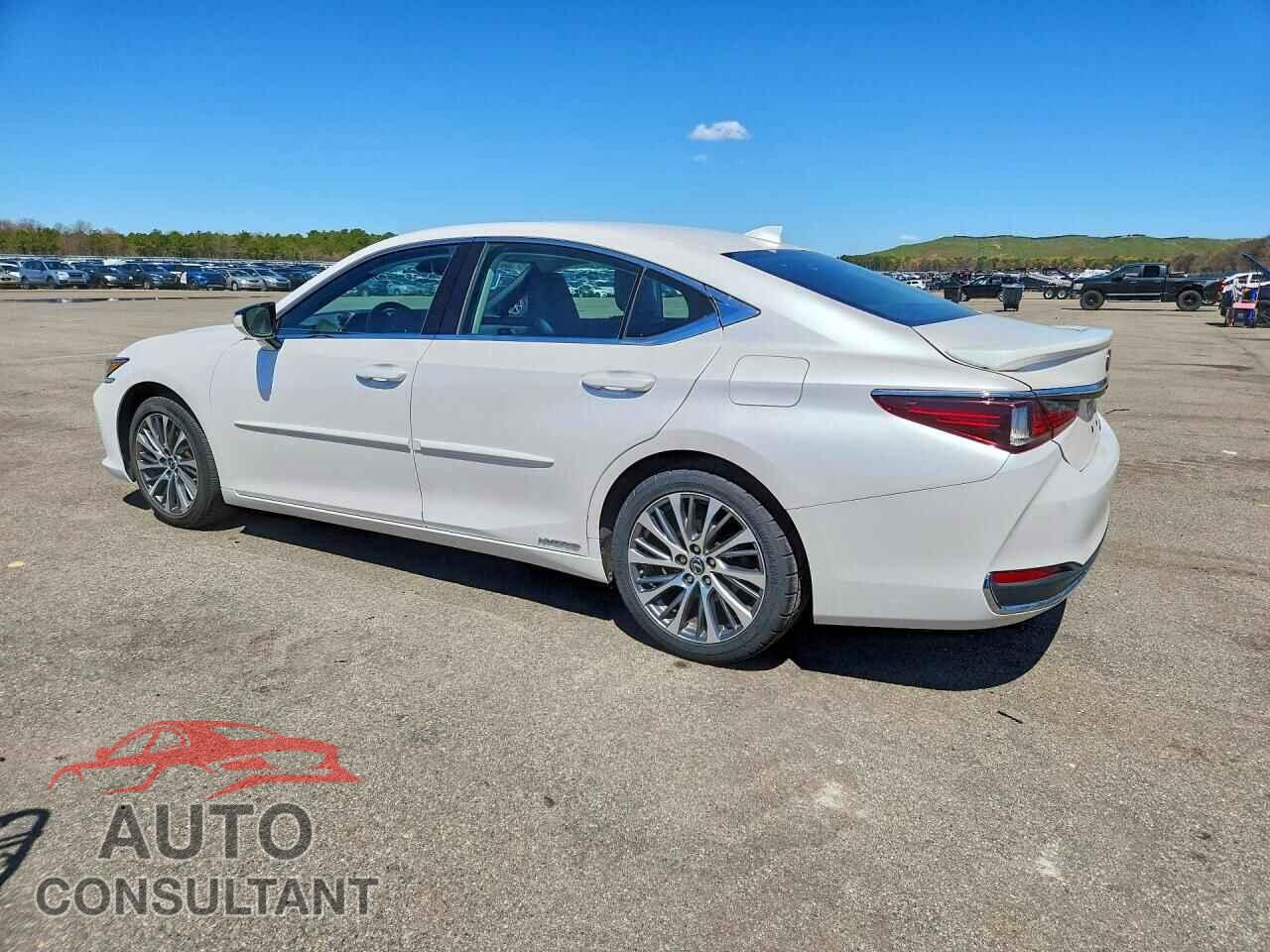 LEXUS ES300 2020 - 58AD21B14LU005601