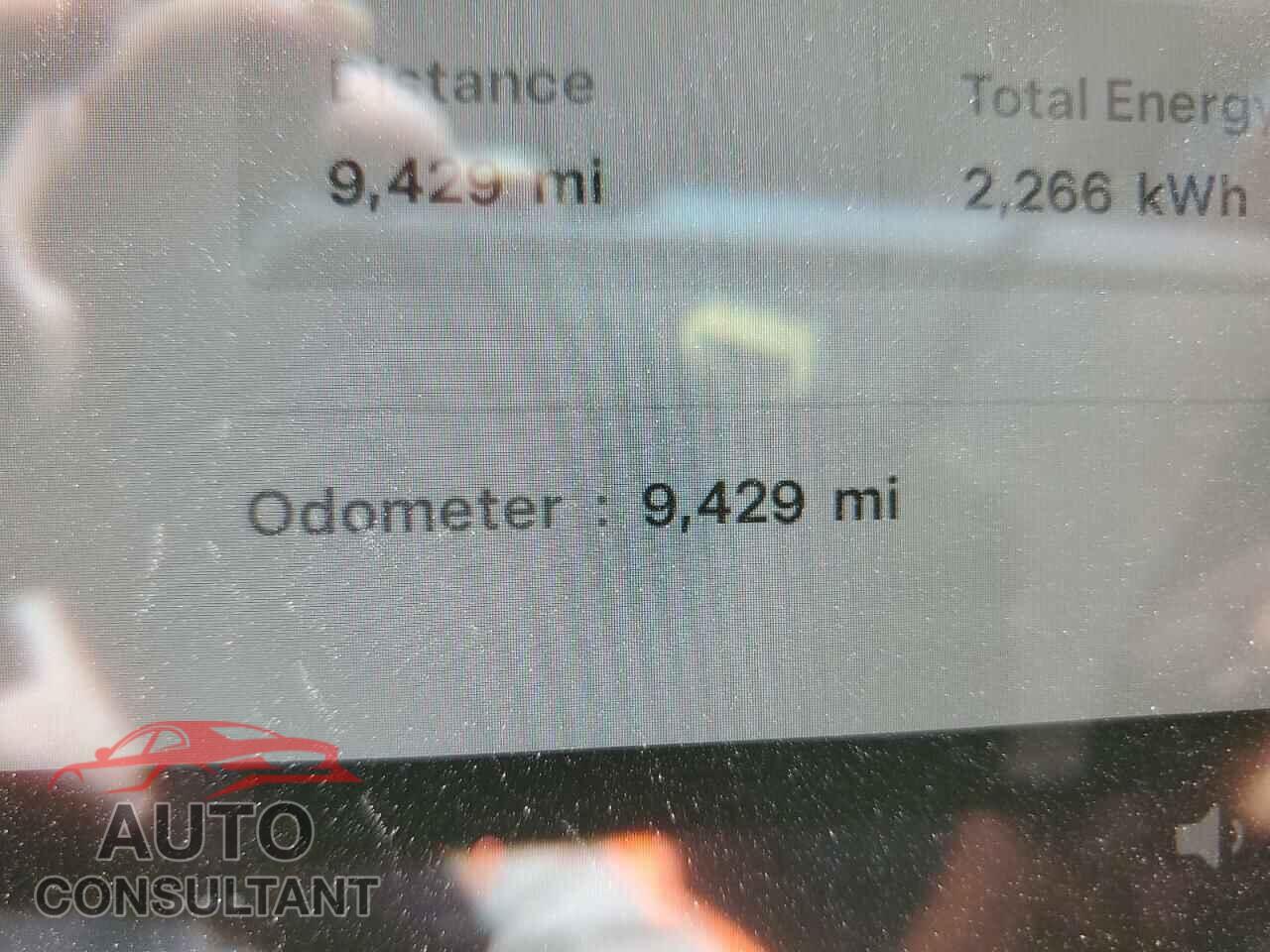 TESLA MODEL Y 2024 - 7SAYGDEE9RF121816