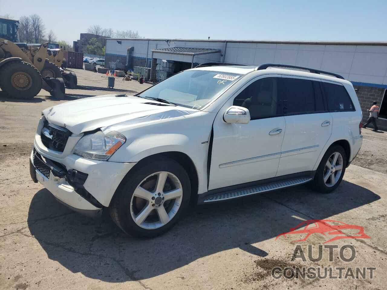 MERCEDES-BENZ GL-CLASS 2009 - 4JGBF25E49A482045