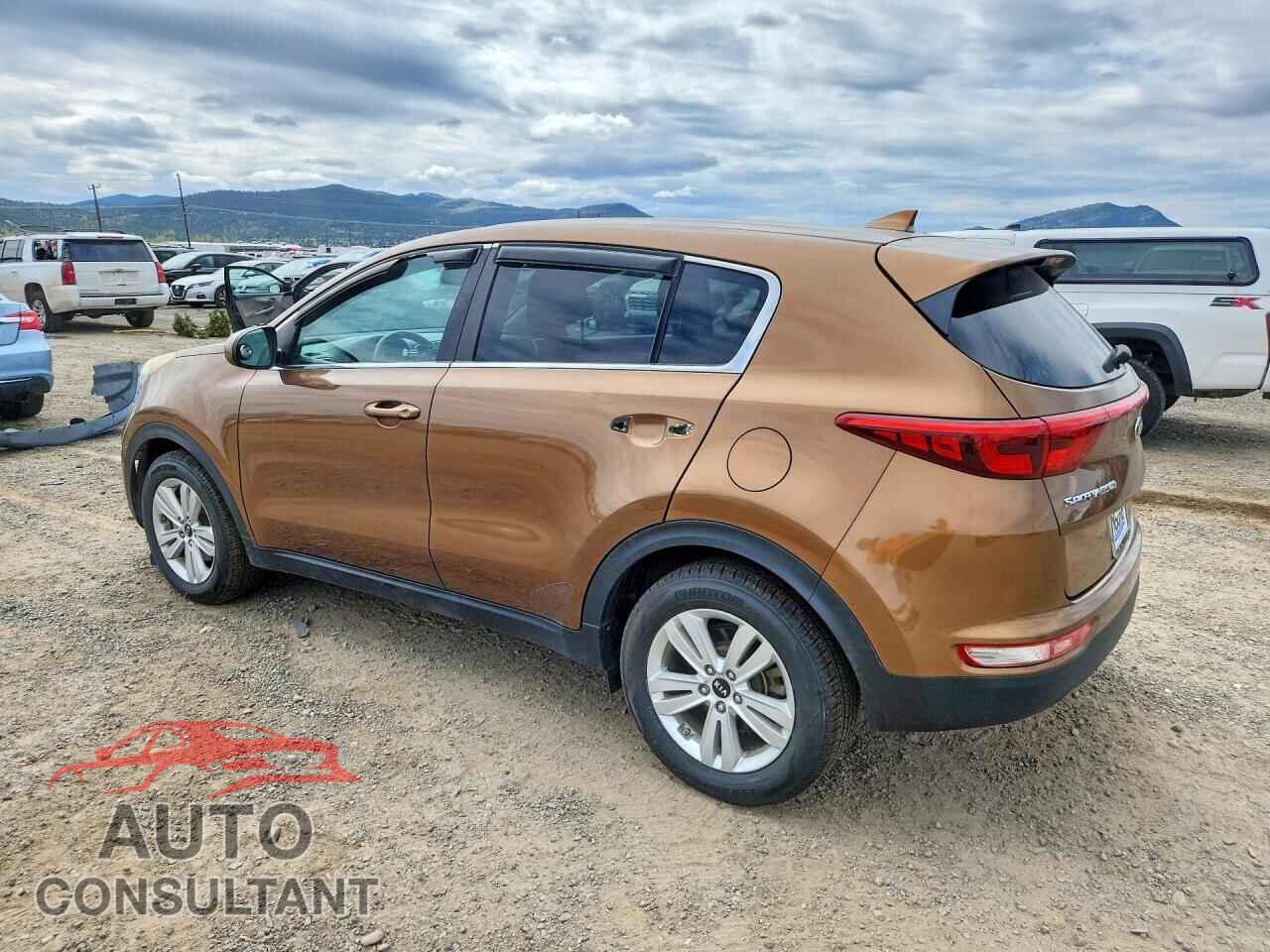 KIA SPORTAGE 2017 - KNDPM3AC2H7236603