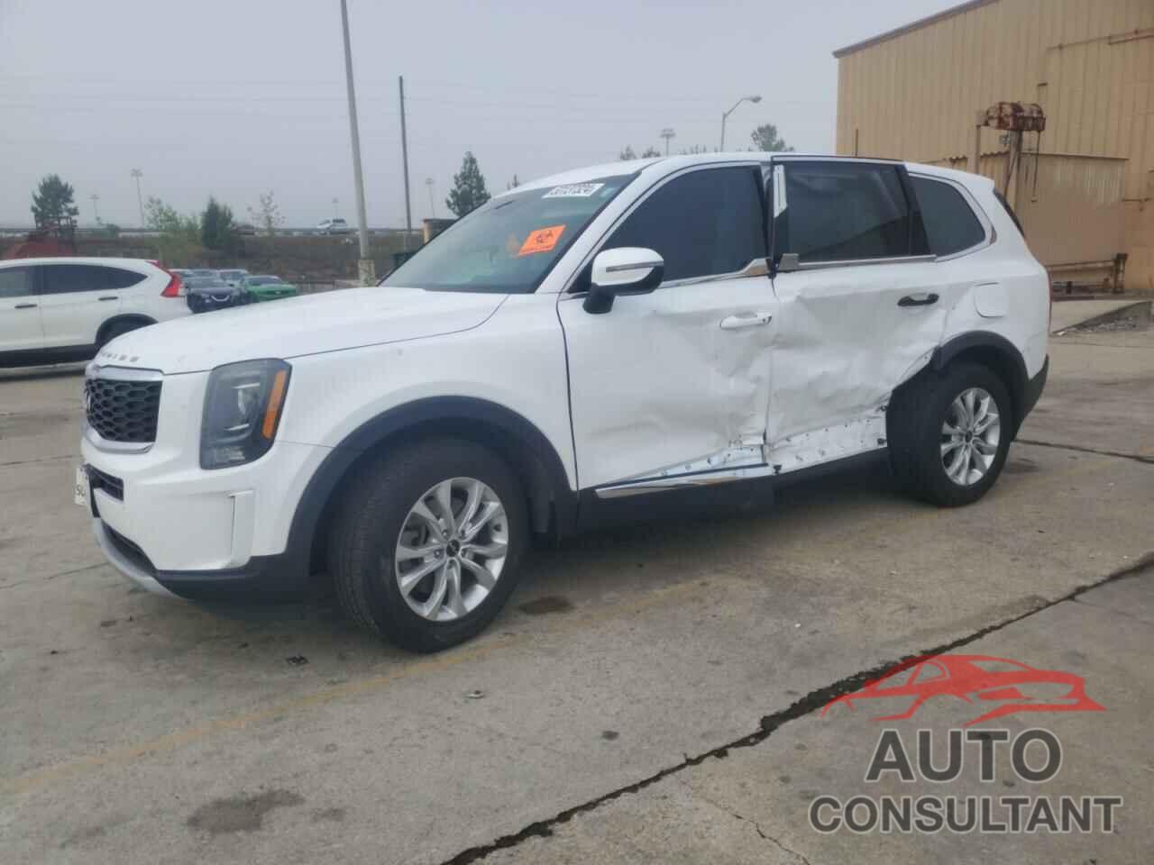 KIA TELLURIDE 2022 - 5XYP24HC4NG268503