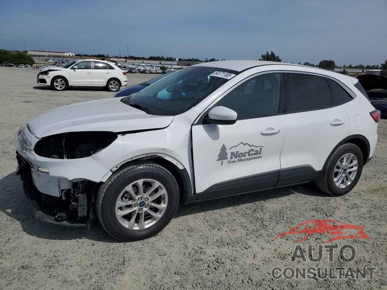 FORD ESCAPE 2020 - 1FMCU0G6XLUC21772