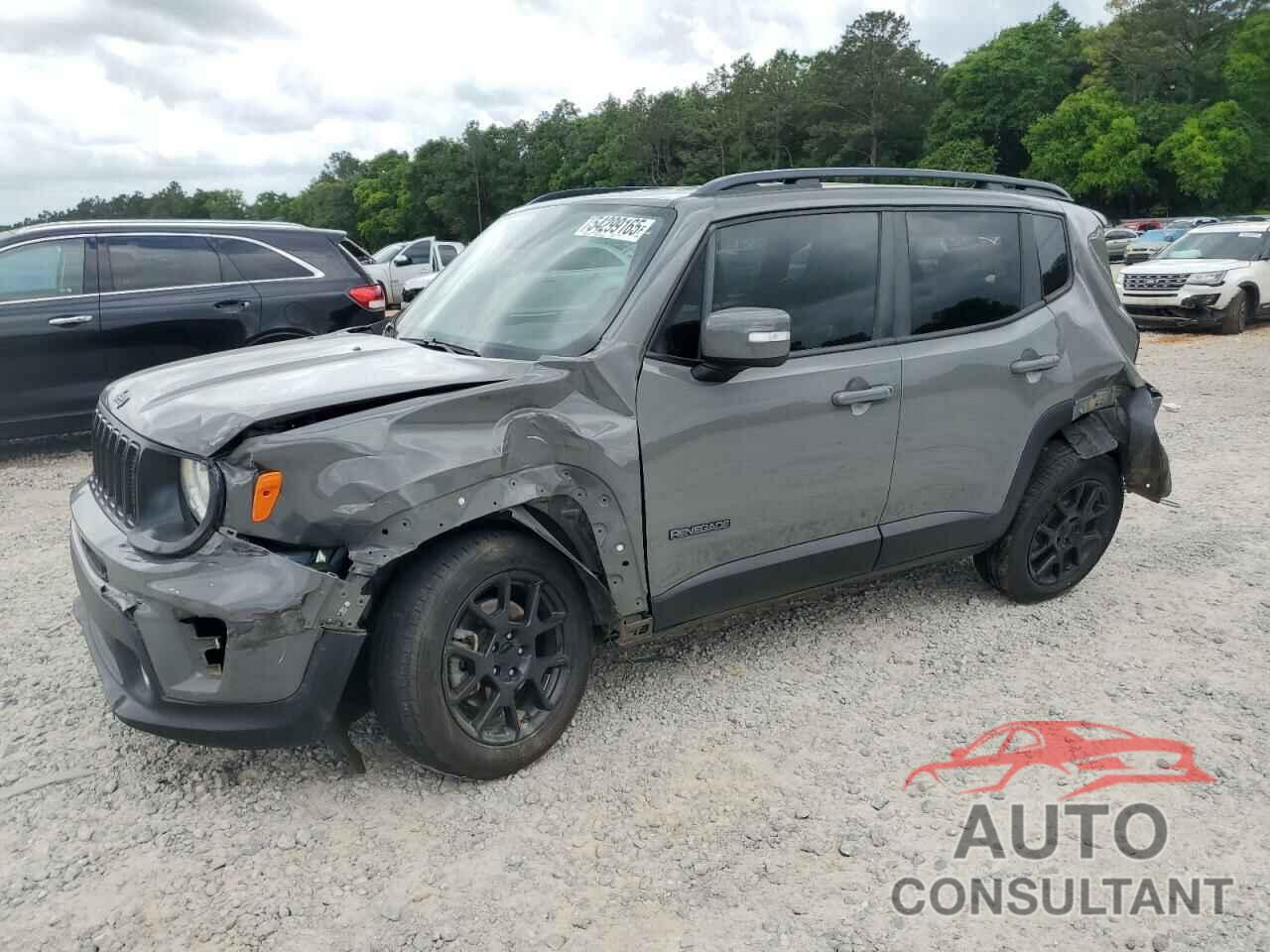 JEEP RENEGADE 2019 - ZACNJABBXKPK42652