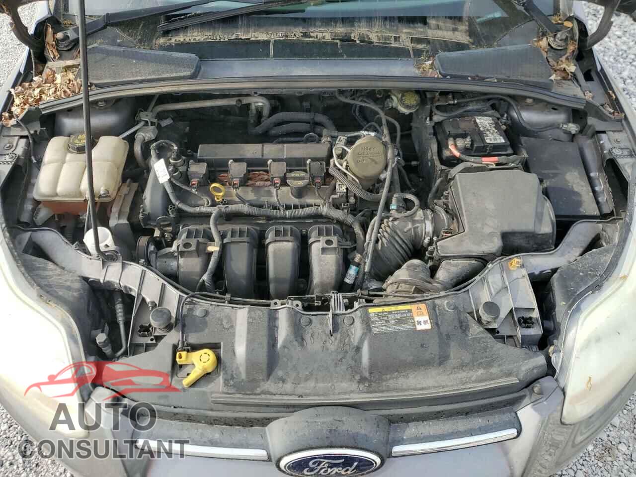 FORD FOCUS 2014 - 1FADP3F2XEL161572