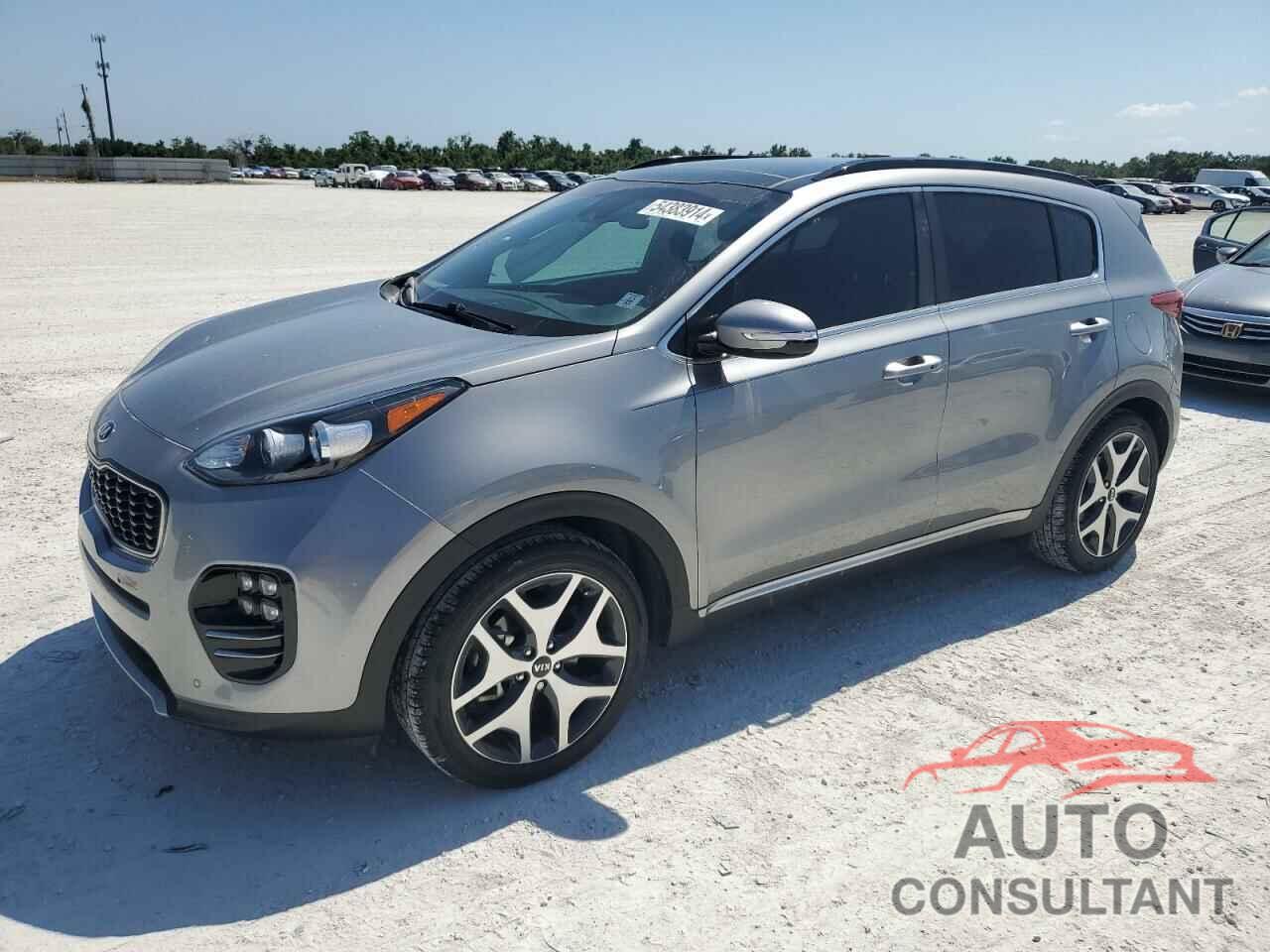 KIA SPORTAGE 2019 - KNDPR3A69K7616881