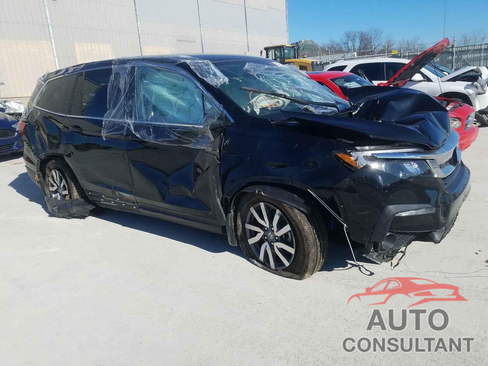 HONDA PILOT 2019 - 5FNYF6H31KB046427