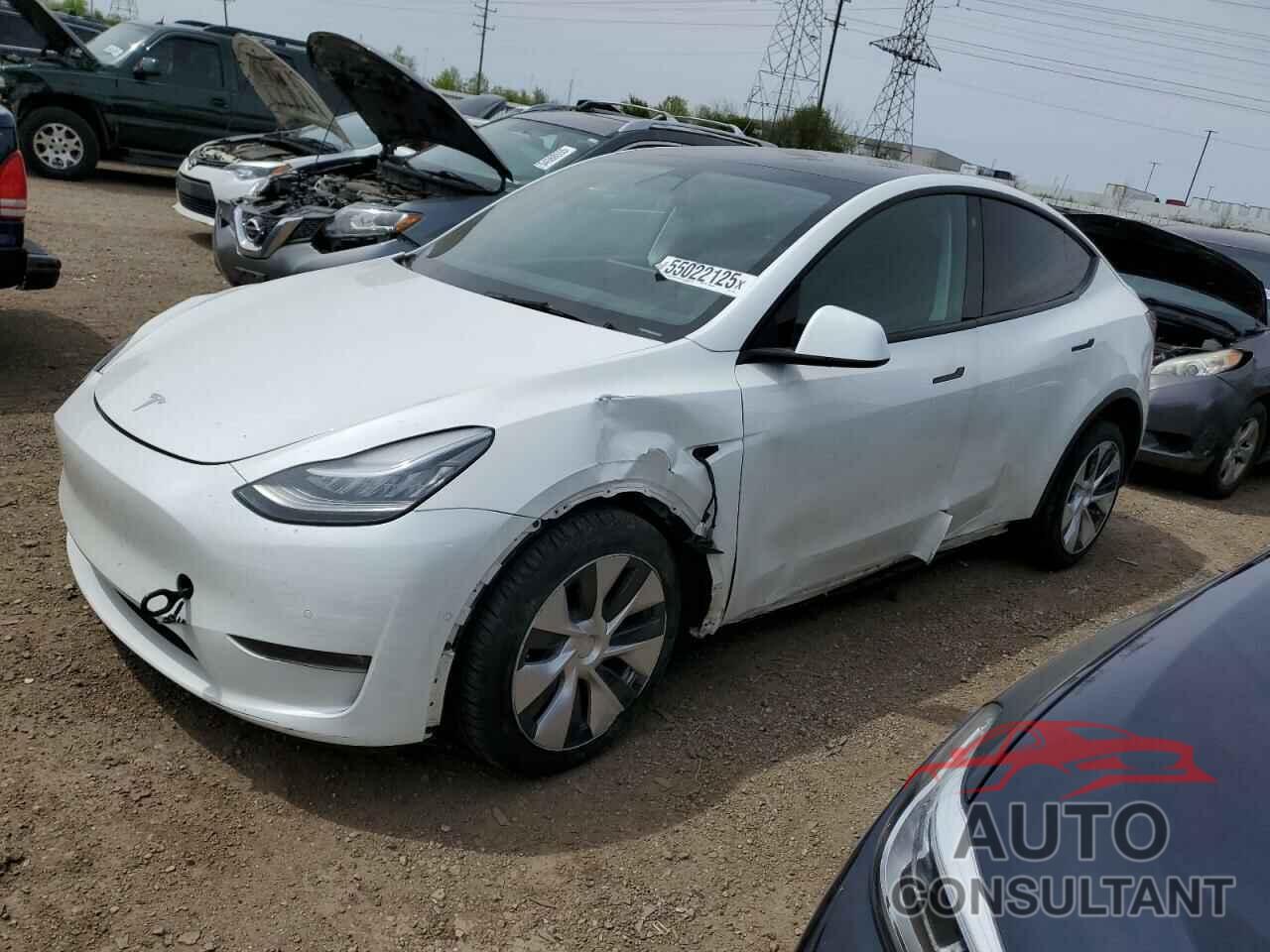 TESLA MODEL Y 2021 - 5YJYGDEEXMF183828