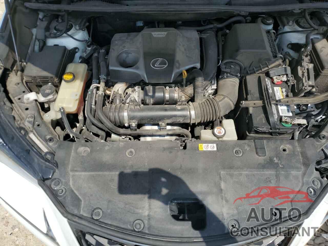 LEXUS NX 2019 - JTJYARBZ0K2133801
