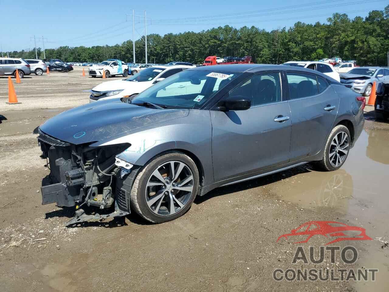 NISSAN MAXIMA 2018 - 1N4AA6APXJC403313