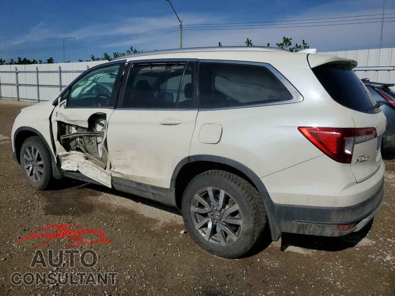 HONDA PILOT 2019 - 5FNYF6H7XKB504694