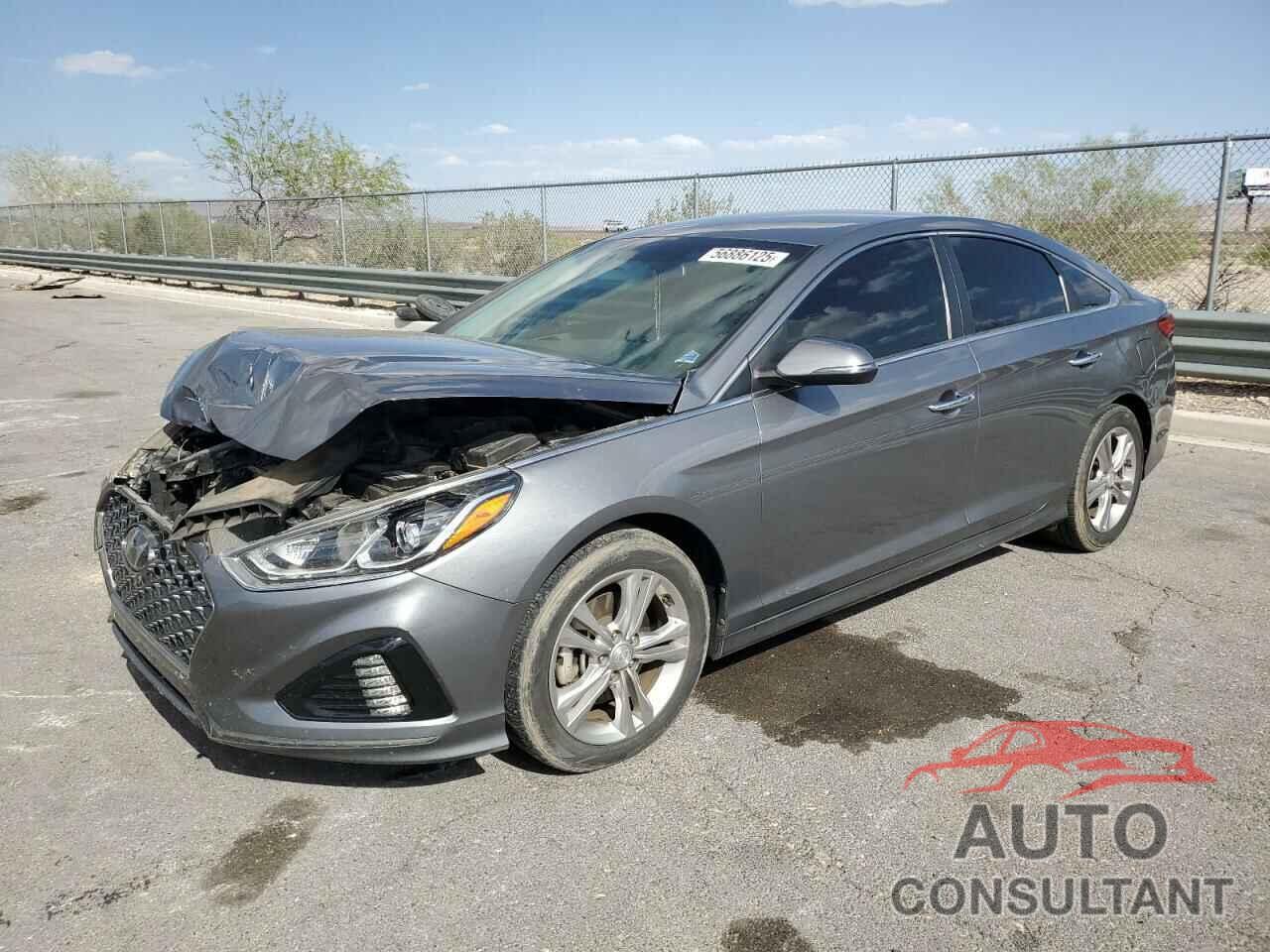 HYUNDAI SONATA 2019 - 5NPE34AF3KH746035