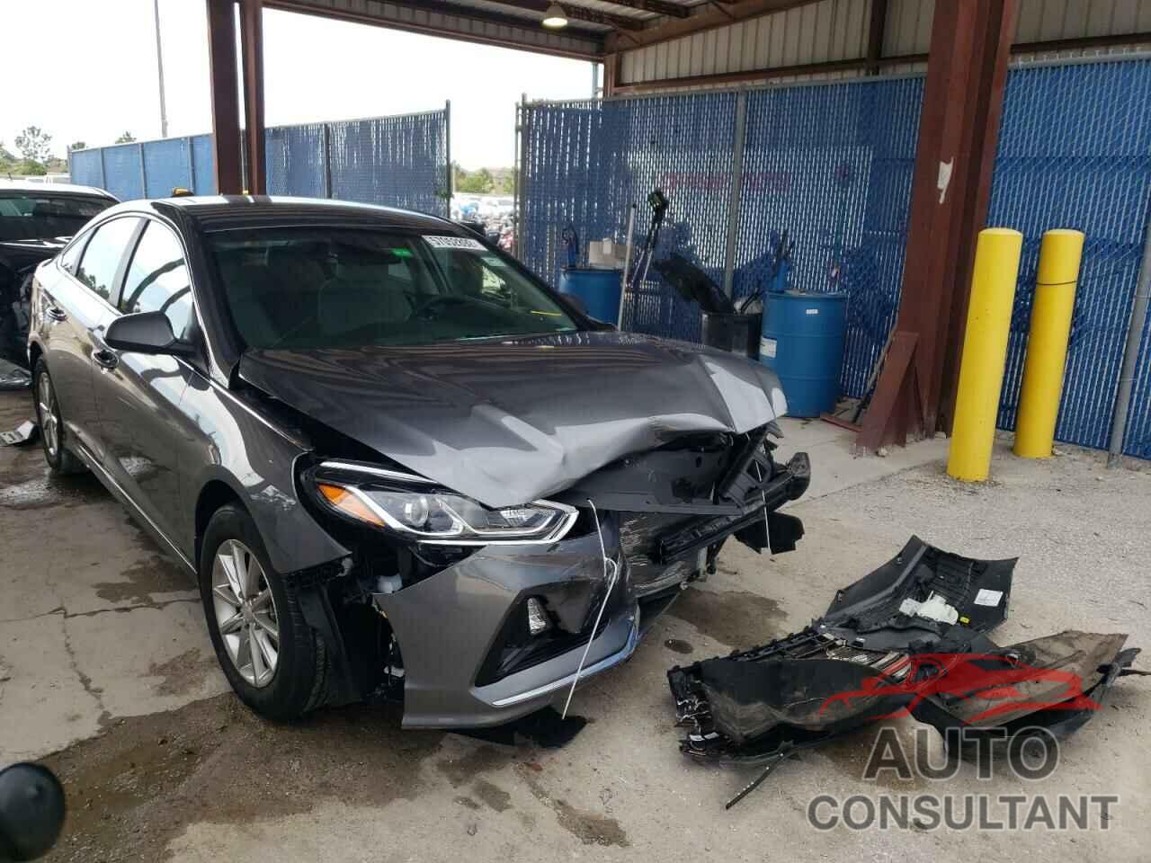 HYUNDAI SONATA 2019 - 5NPE24AF0KH813547