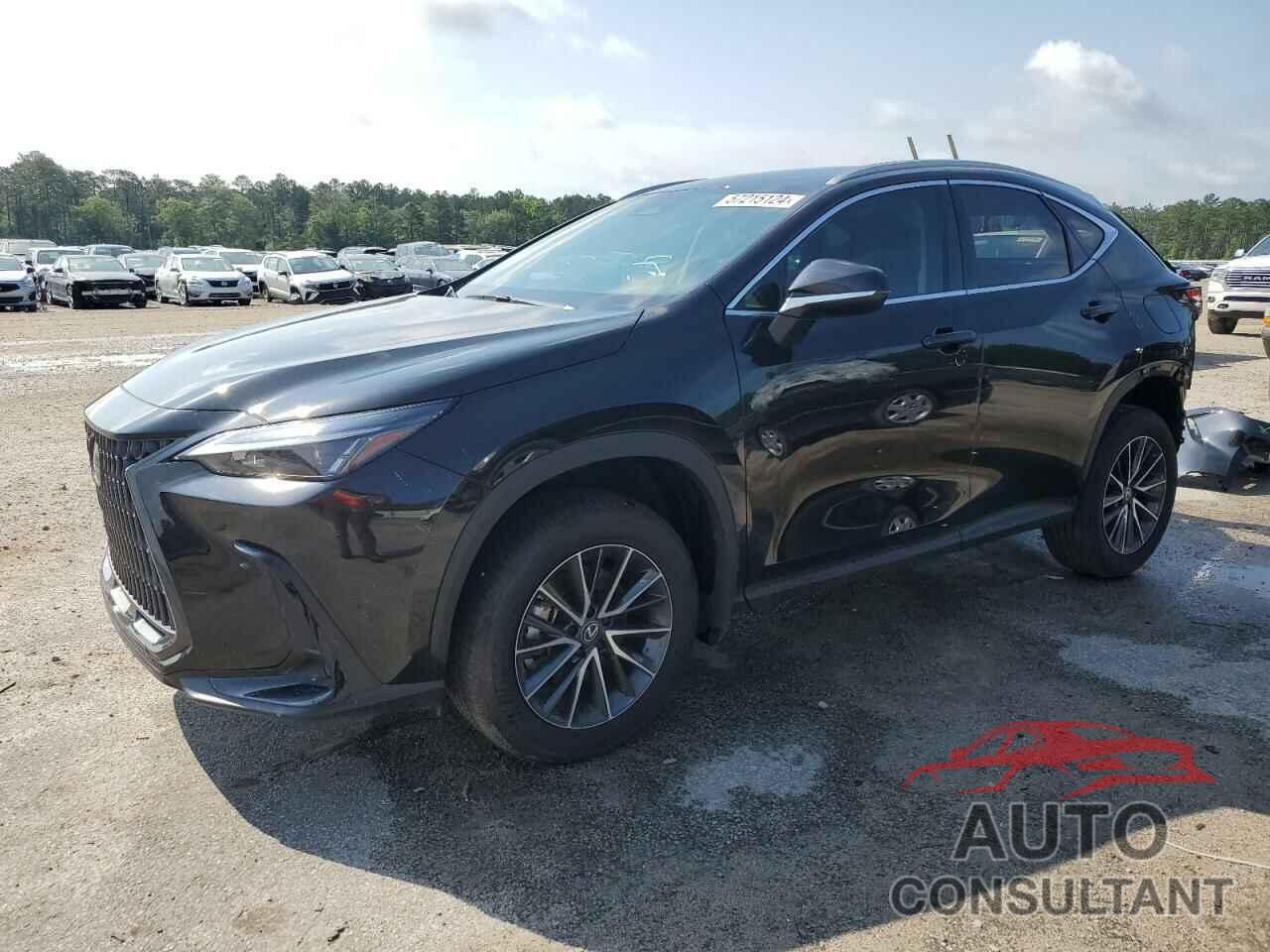 LEXUS NX 250 BAS 2024 - 2T2ADCAZ5RC008584