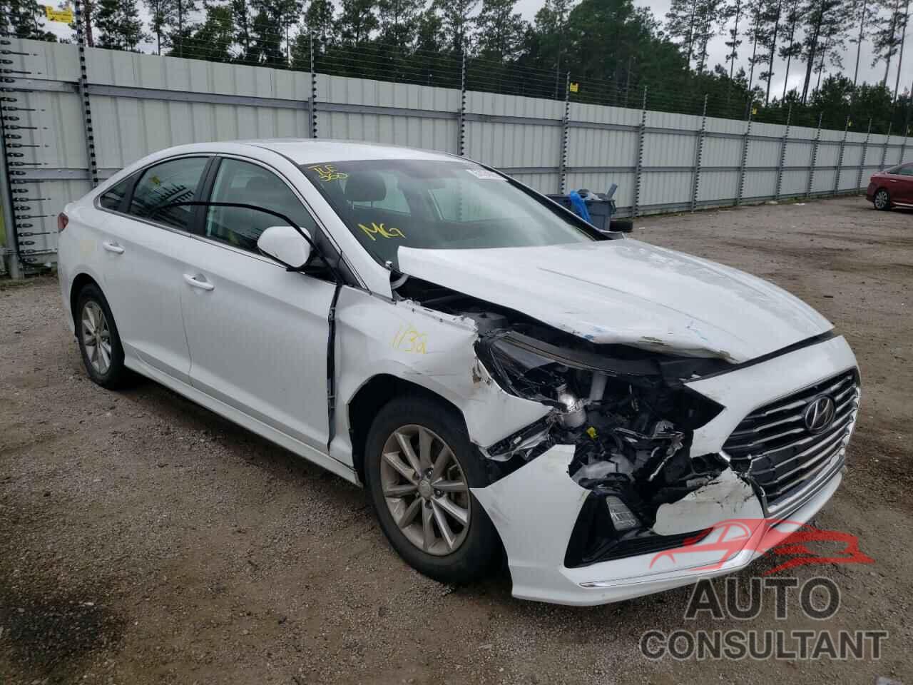 HYUNDAI SONATA 2019 - 5NPE24AF3KH801134