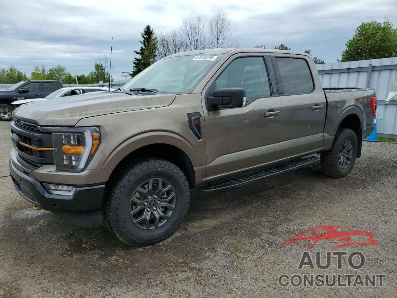 FORD F-150 2023 - 1FTEW1E85PFD04327