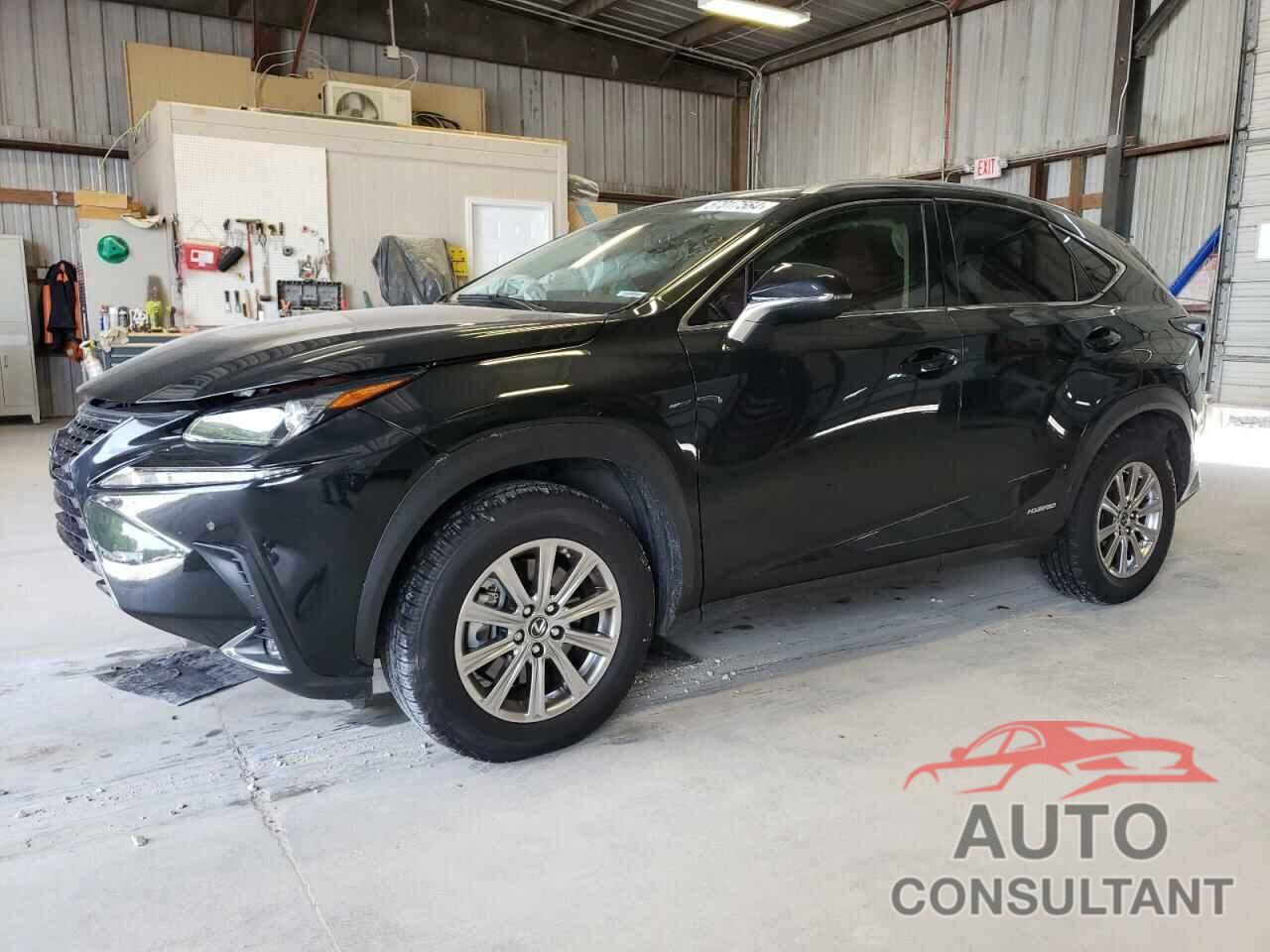 LEXUS NX 2020 - JTJDJRDZ9L2145491