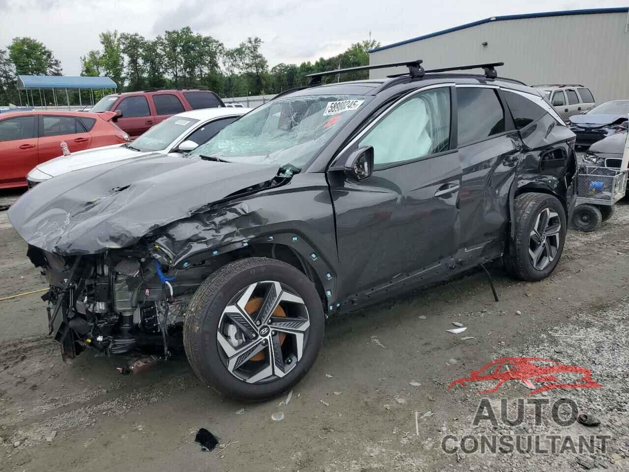 HYUNDAI TUCSON 2024 - KM8JCCD17RU170843