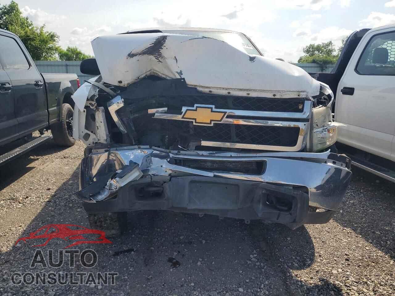 CHEVROLET SILVERADO 2013 - 1GC1CVCG9DF162486