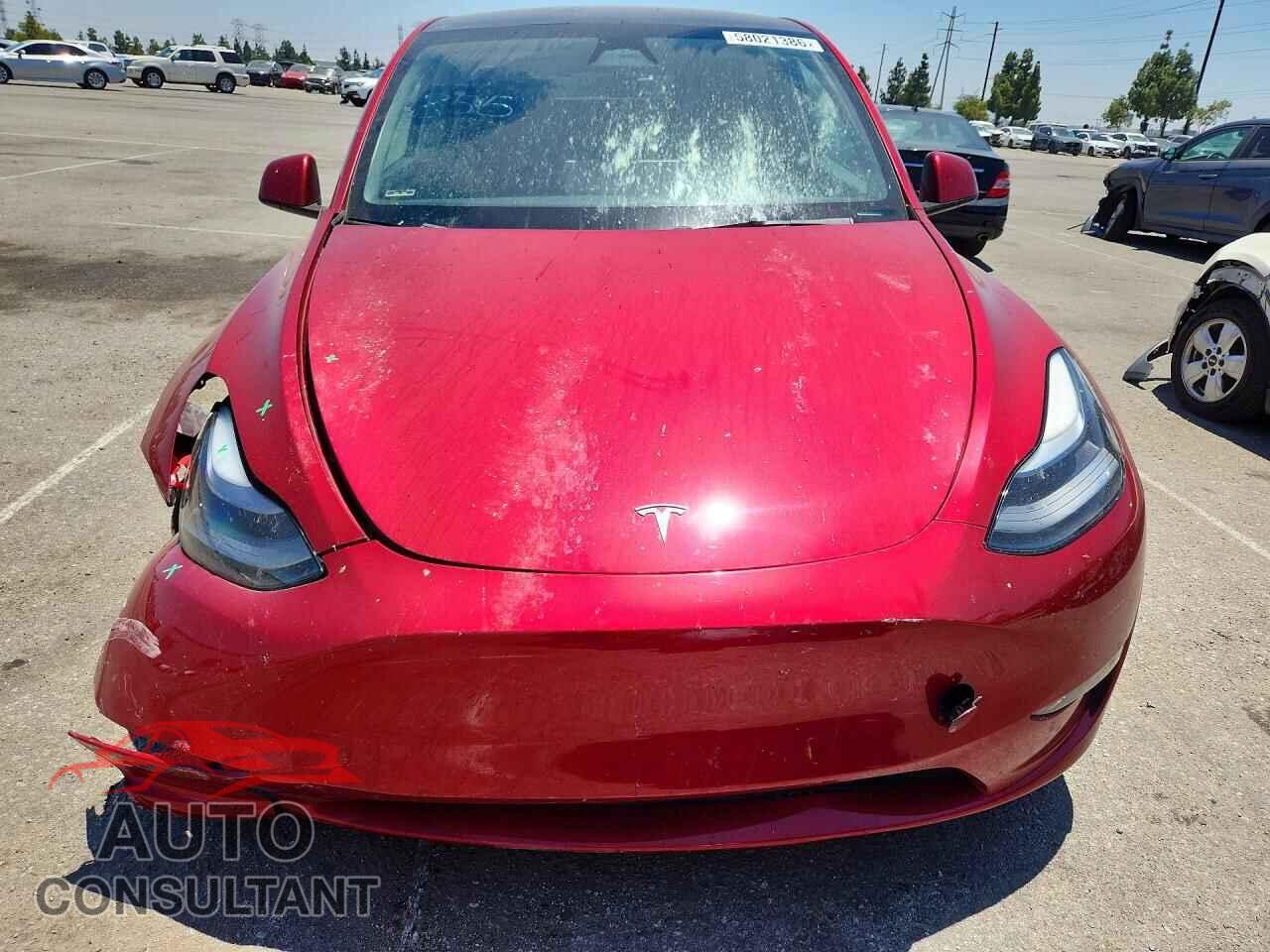 TESLA MODEL Y 2024 - 7SAYGAEE5RF015930
