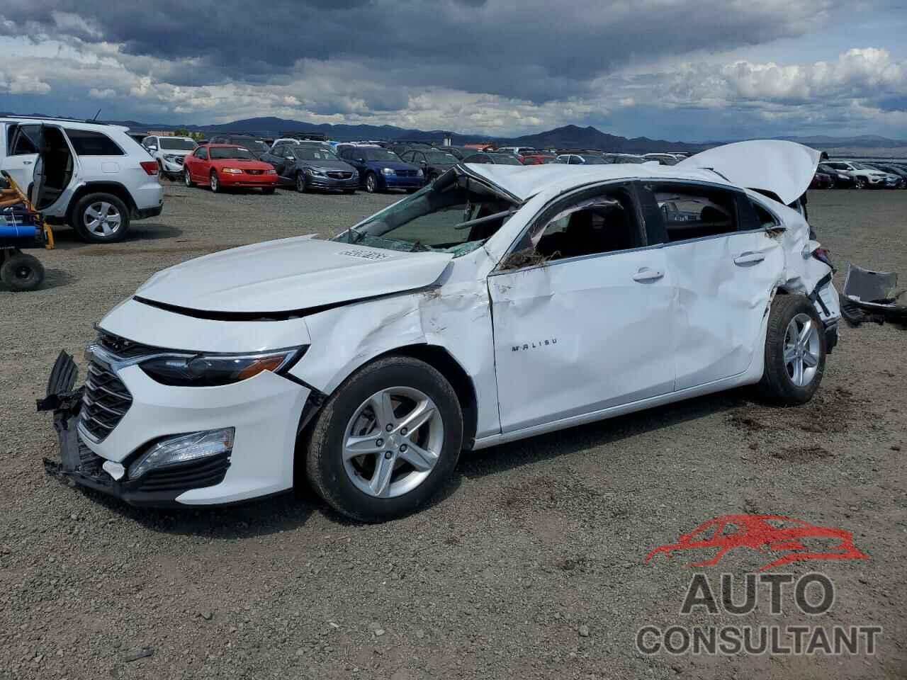 CHEVROLET MALIBU 2024 - 1G1ZD5ST9RF179237