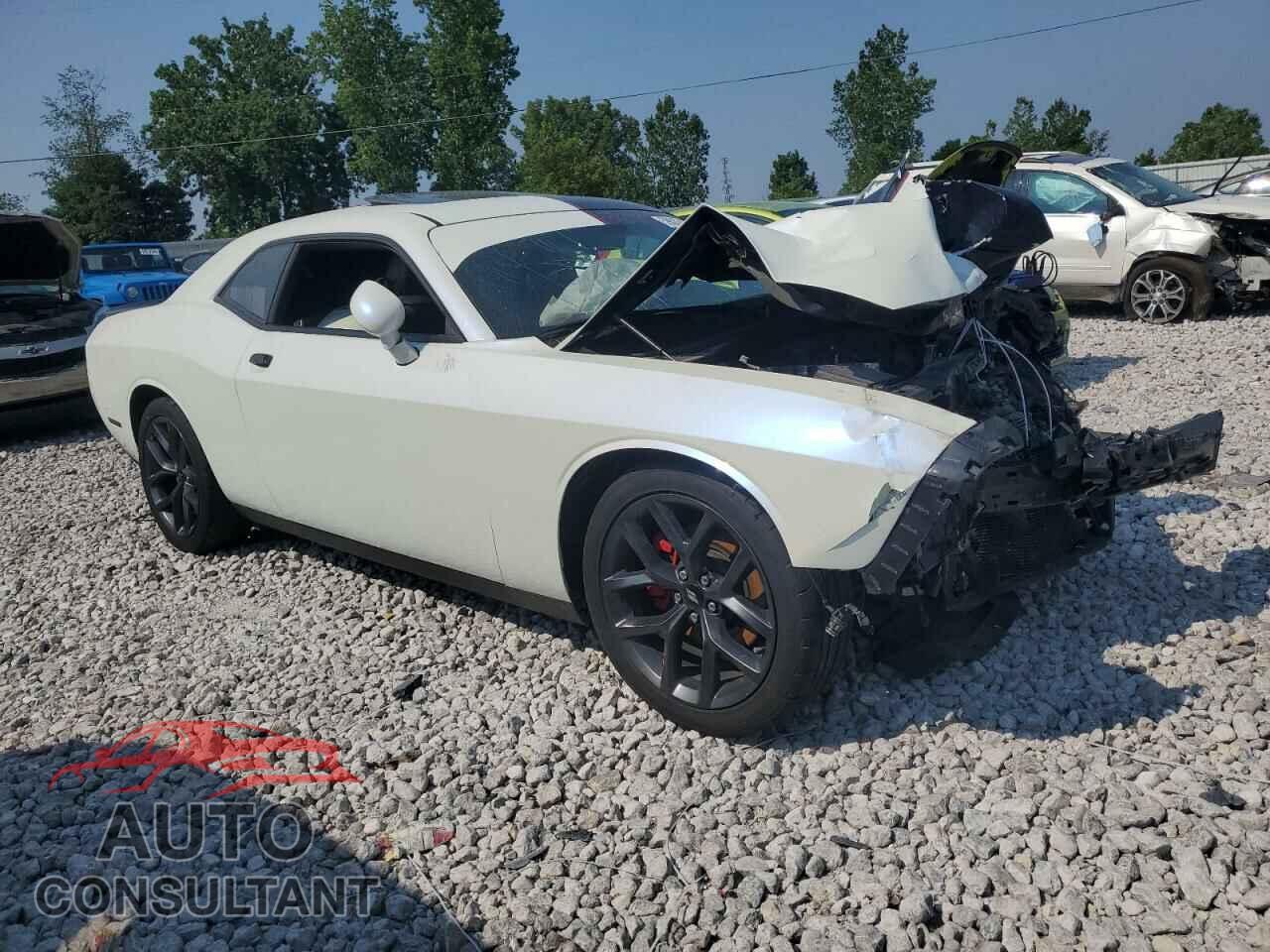 DODGE CHALLENGER 2019 - 2C3CDZBT3KH627257