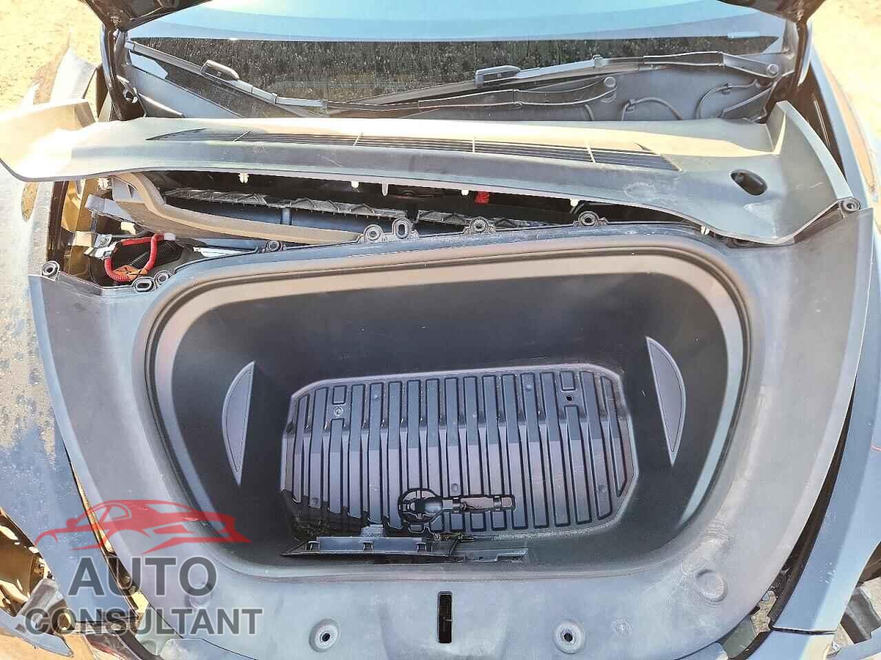 TESLA MODEL Y 2024 - 7SAYGDEE2RF018897