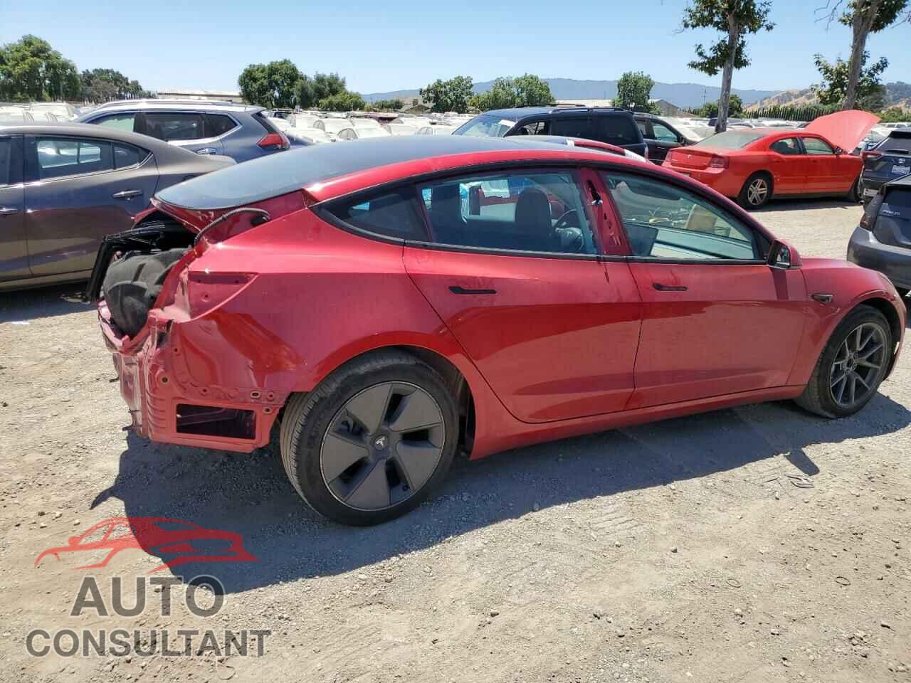 TESLA MODEL 3 2021 - 5YJ3E1EA7MF919555