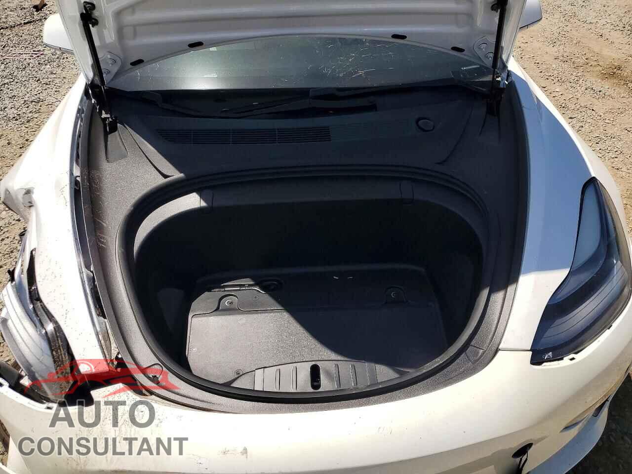 TESLA MODEL 3 2019 - 5YJ3E1EA2KF486921