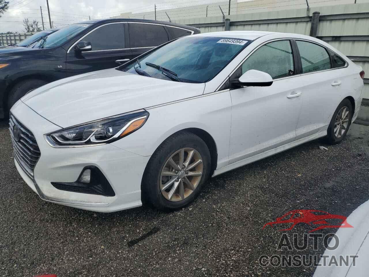 HYUNDAI SONATA 2019 - 5NPE24AF4KH752347