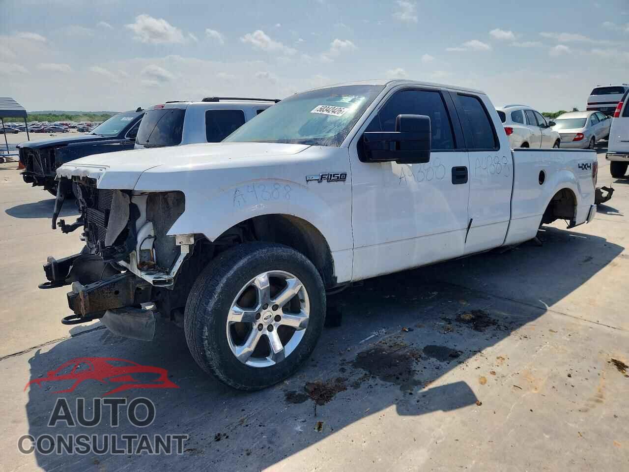 FORD F150 2011 - 1FTFX1EF1BFB18907