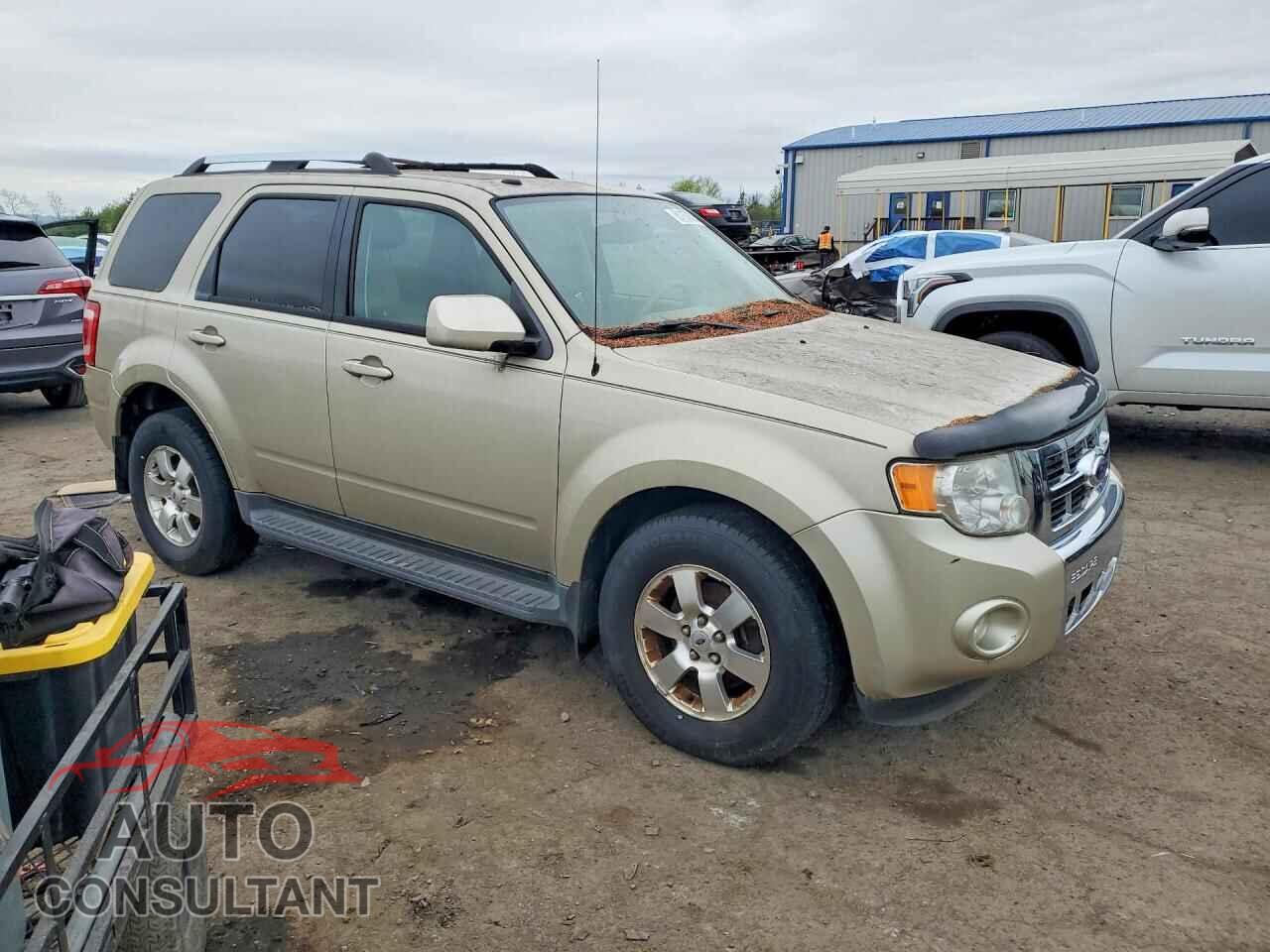 FORD ESCAPE 2011 - 1FMCU9EG0BKB96357
