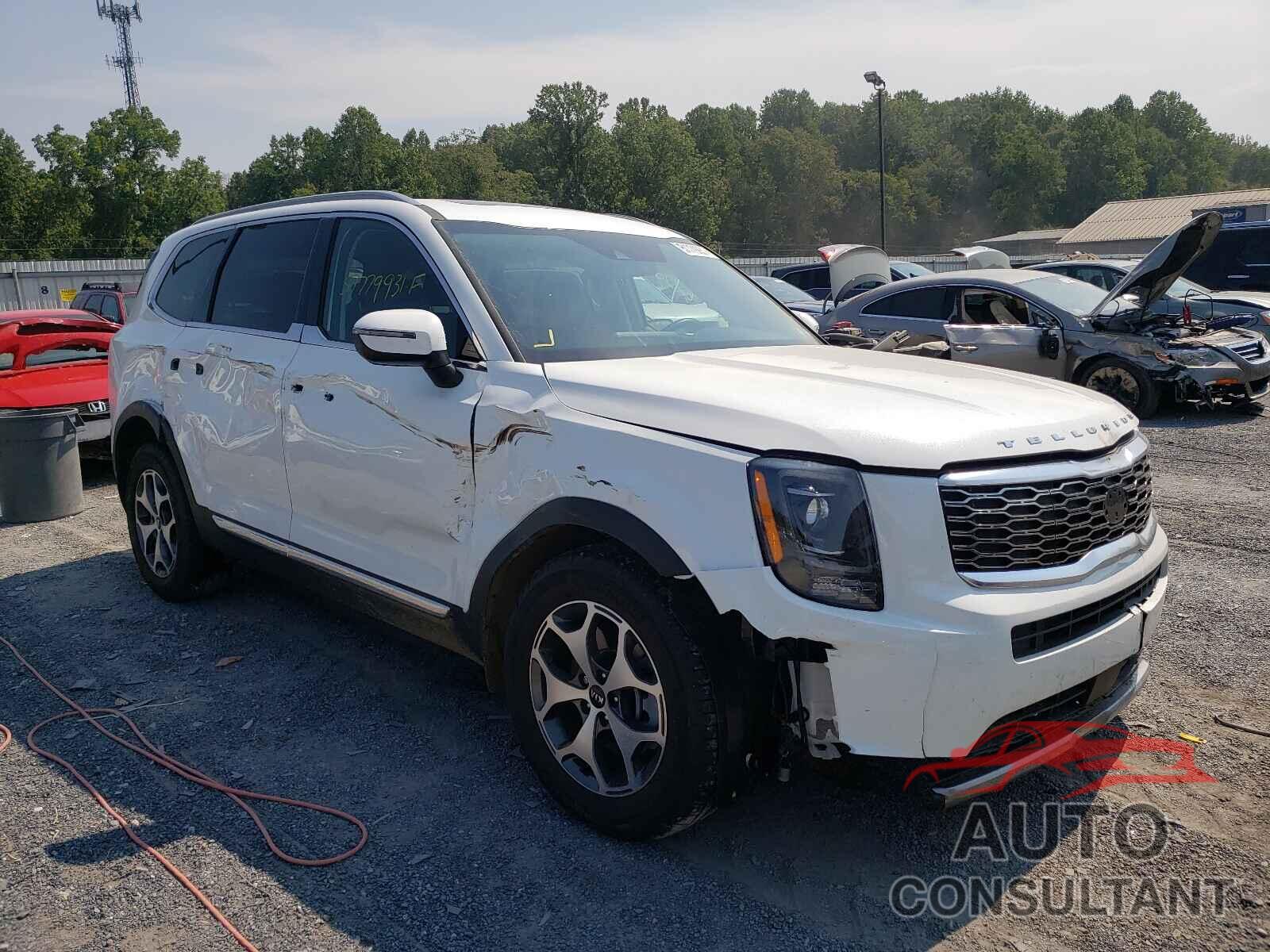 KIA TELLURIDE 2020 - 5XYP3DHC9LG093076