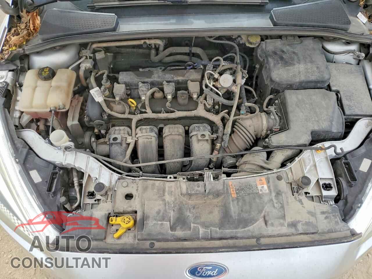 FORD FOCUS 2016 - 1FADP3F20GL336866