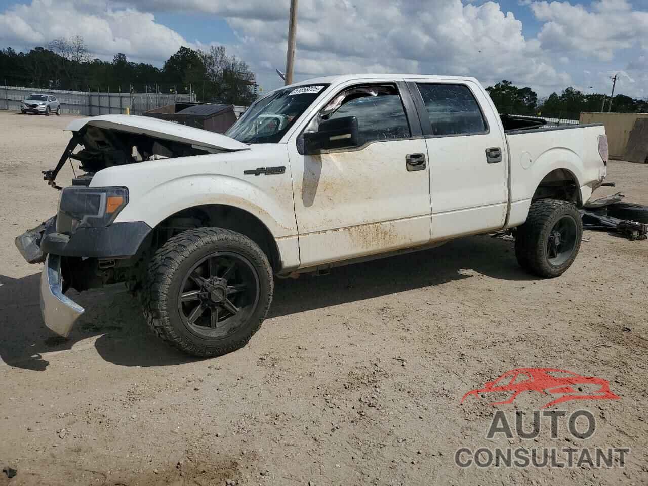 FORD F-150 2013 - 1FTFW1CF1DFE01056