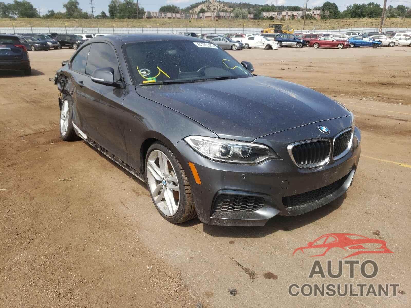 BMW 2 SERIES 2016 - WBA1F5C53GV343807