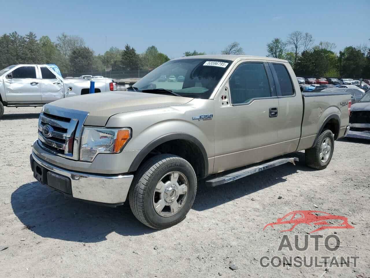 FORD F-150 2009 - 1FTPX14V19FA59509