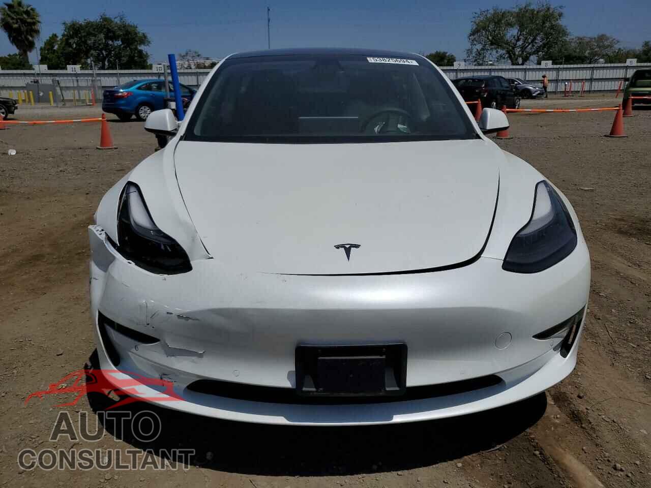 TESLA MODEL 3 2021 - 5YJ3E1EA5MF919974