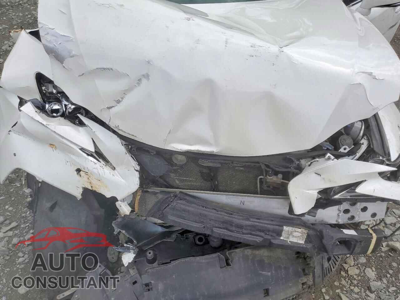 LEXUS IS 2014 - JTHBF1D24E5015196