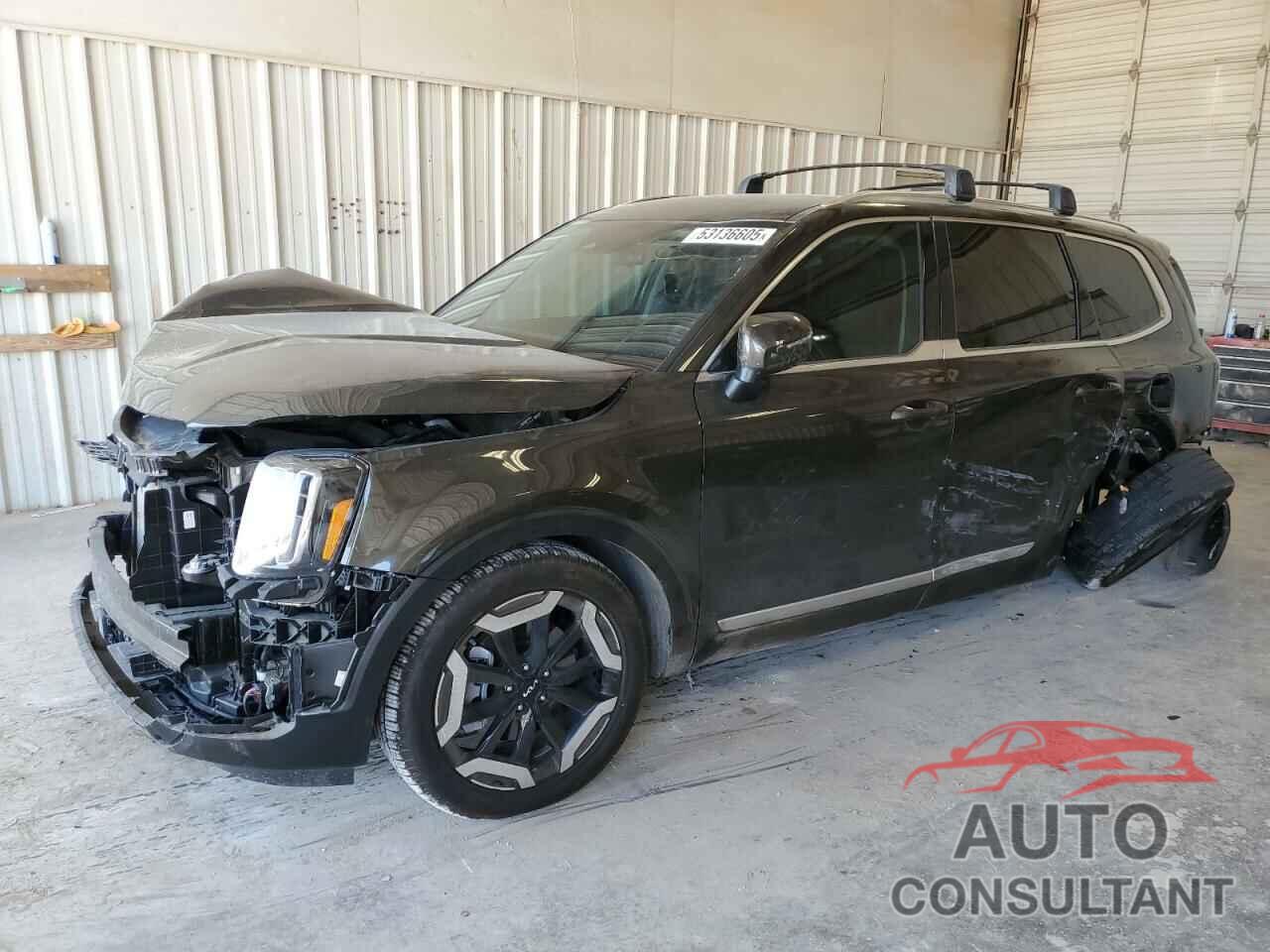 KIA TELLURIDE 2024 - 5XYP34GC8RG490840
