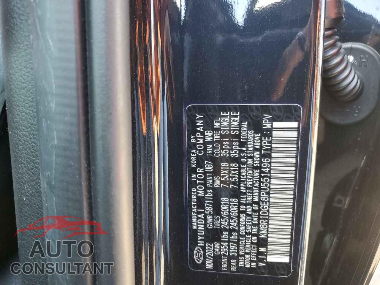 HYUNDAI PALISADE 2023 - KM8R1DGE8PU551496