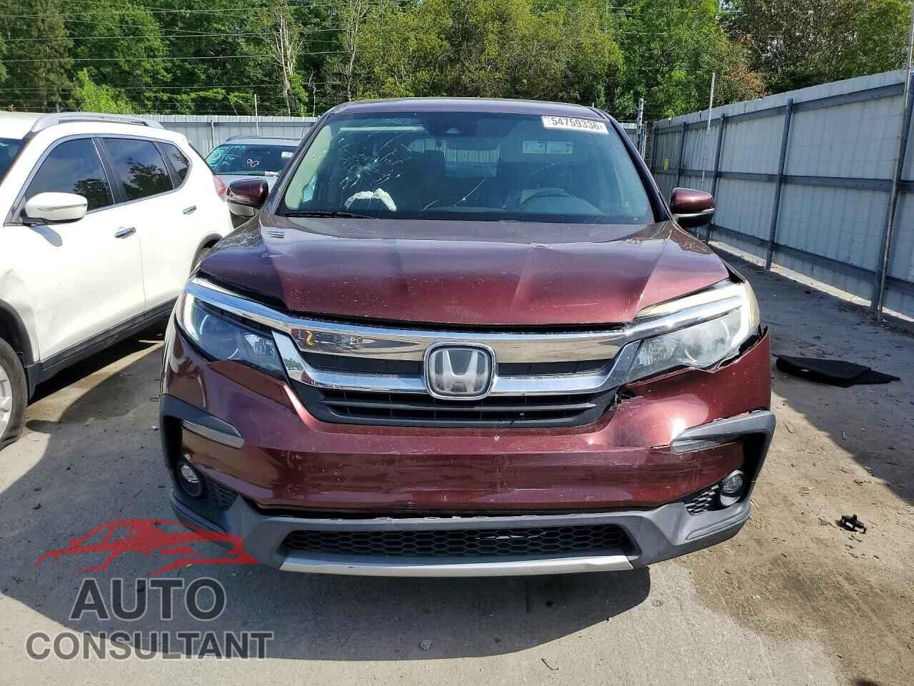 HONDA PILOT 2019 - 5FNYF5H51KB045581